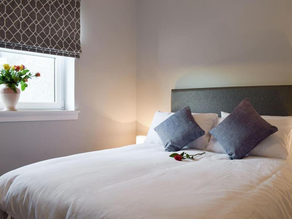 إنفيركيثينغ Courtyard Holiday Apartments المظهر الخارجي الصورة