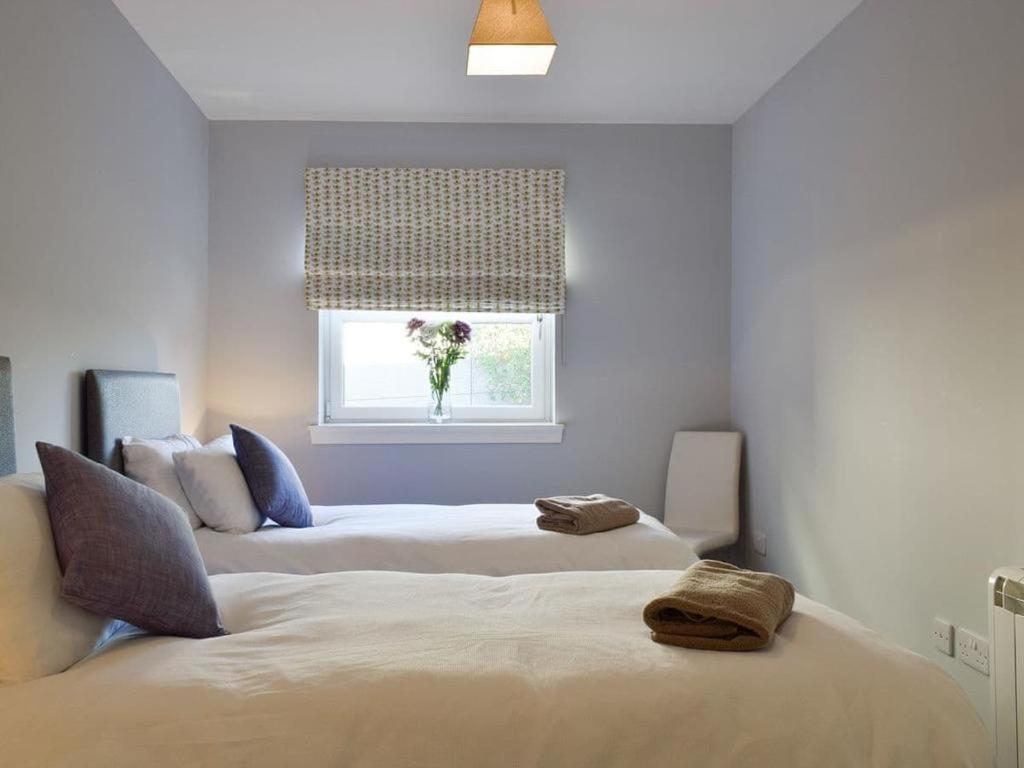 إنفيركيثينغ Courtyard Holiday Apartments المظهر الخارجي الصورة